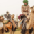 Rift within Rezeigat after Al-Nawaiba break away from tribal leadership