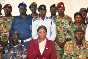 Press club trains security personnel, journalists in Unity State