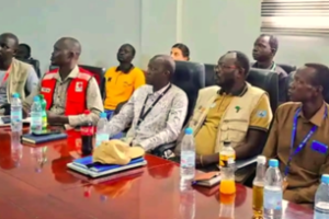 Govt, partners to conduct crop failure assessment in Lakes State