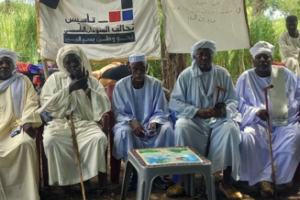 Peaceful coexistence conference brings together 41 tribes in South Darfur