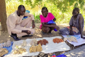 Community seed banks help farmers prepare for future shocks