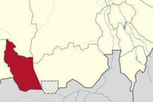 RSF accused of killing pharmacist, arresting four in West Kordofan