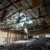 5 killed in drone strike on university dormitory in El-Obeid, medics say
