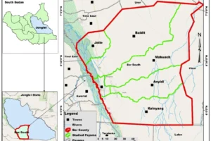 16 community leaders detained over renewed Bor violence