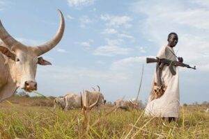 Nine killed, six wounded in attacks in Ruweng