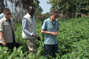Aweil farmers look to China to boost rice production