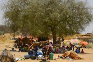 Drought, crop failures fuel new displacement to Tawila, North Darfur