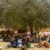 Drought, crop failures fuel new displacement to Tawila, North Darfur