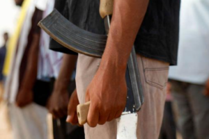 RSF attack killed more than 25 civilians in North Kordofan, medics say
