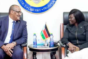 South Sudan summons Sudan envoy over Abyei market attack