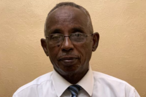 AU chairperson invites Sudanese dialogue committee to Burundi