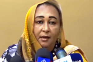 Sudan groups condemn calls for journalist Rasha Awad’s killing