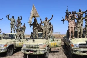SAF, RSF alliance claim contradicting military gains in Blue Nile