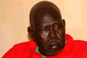 Rumbek: SPLM veteran Martin Malual dies after road accident