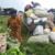 Yei traders blame taxes, high transport costs for shrinking profits