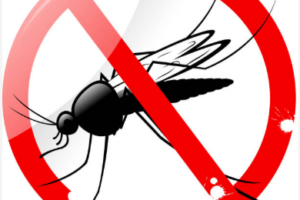 W. Darfur launches vector control campaign amid rising mosquito numbers