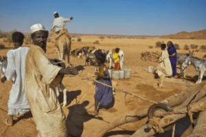 Water crisis forces school closures in White Nile State
