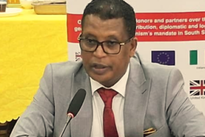 South Sudan parties on CTSAMVM demand probe into peacekeepers’ deaths