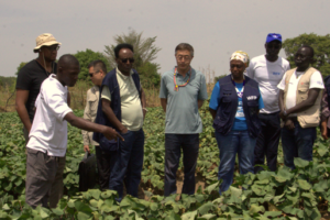 WFP sees potential for Chinese technology to boost rice farming in Aweil