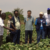 WFP sees potential for Chinese technology to boost rice farming in Aweil
