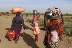 Families displaced to Al-Manar camp in East Darfur after crop failure