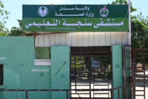 Dengue, malaria cases strain hospital in Sudan’s Sennar state