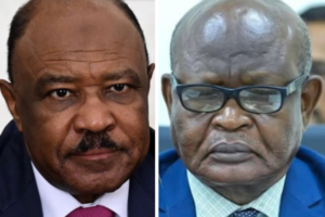 Khartoum denies role in Abyei killings as RSF allies seek probe