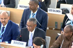 UN rights council extends Sudan fact-finding mission for one year