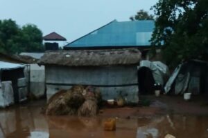 Flooding leaves Tambura IDPs in desperate need