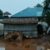Flooding leaves Tambura IDPs in desperate need