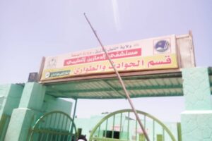 Damazin Hospital resumes specialist surgeries, successfully performs first ENT procedure