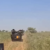 Sudanese army announces capture of strategic area in West Darfur