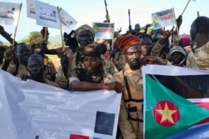 RSF-SPLM-N forces claim strategic gain in Blue Nile