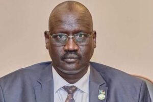 Jonglei governor appoints six caretaker county commissioners