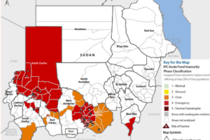 Darfur and Kordofan face rising famine risk, IPC warns